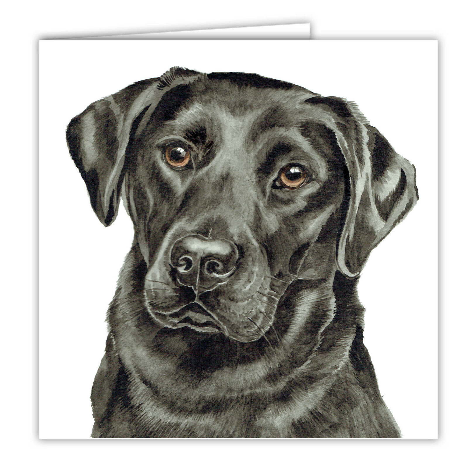 Black Labrador greetings card dog blank card dogs Black labradors lab art card