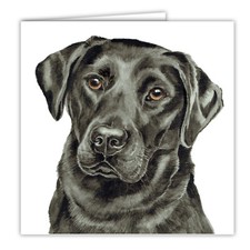 Black Labrador greetings card dog blank card dogs Black labradors lab art card