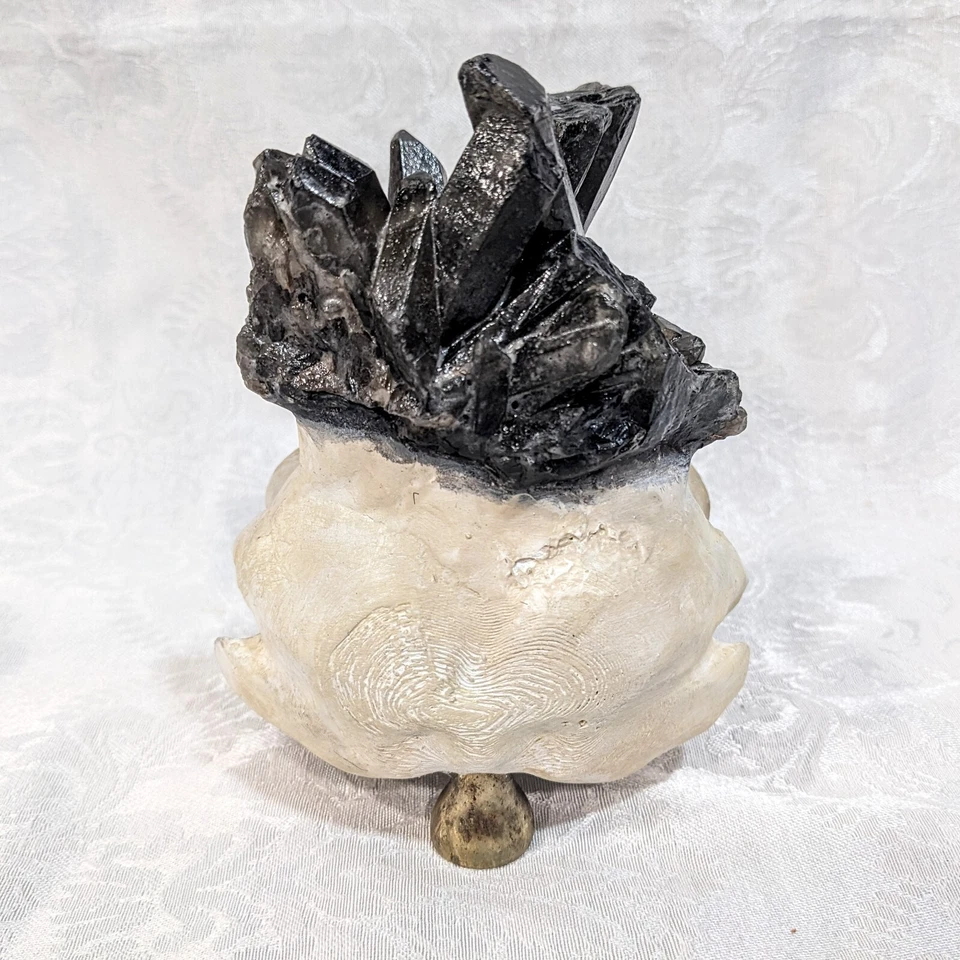 Réplica impresa en 3D de calavera de búho barrado con cristales de cuarzo ahumado pintada a mano Foto 4 de 4