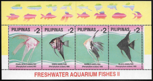 Philippines 1993   Aquarium Fishes II (Angelfish)  Stamp  Sheet - MNH - Picture 1 of 1