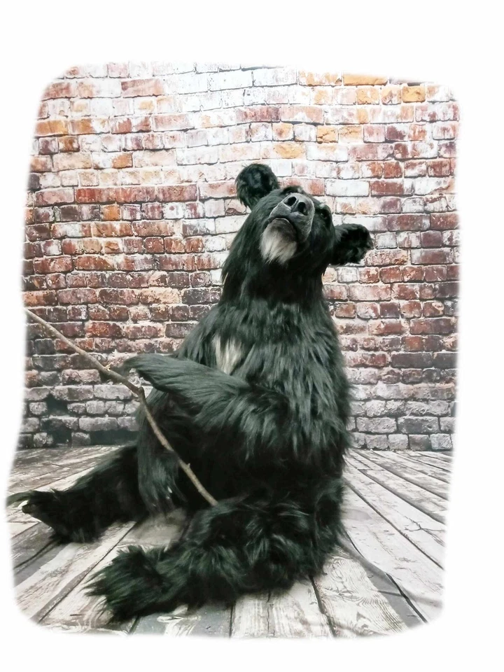 FAI UN ORSO DI PELUCHE REALISTICO POSABILE MODELLO DA CUCIRE PDF ISTRUZIONI COMPLETE - Immagine 3 di 3