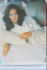JACLYN SMITH Vintage Poster Charlie's Angels Pro Arts 1977 # 14-515 ( 20" by 28"