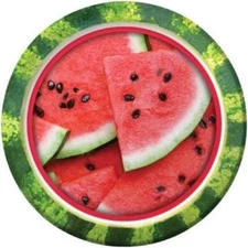 Slice of Summer Watermelon 9 Inch Paper Plates 8 Pack Summer Birthday Party