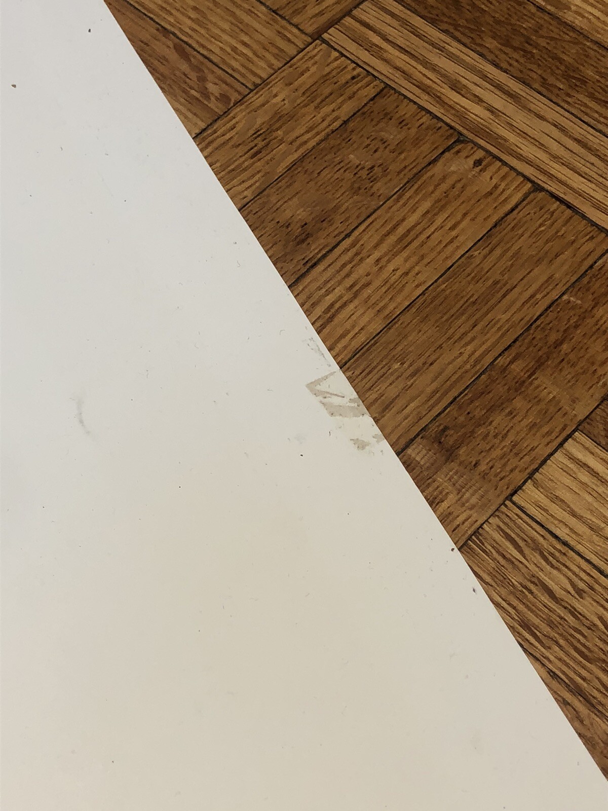 Picture 11 of 12