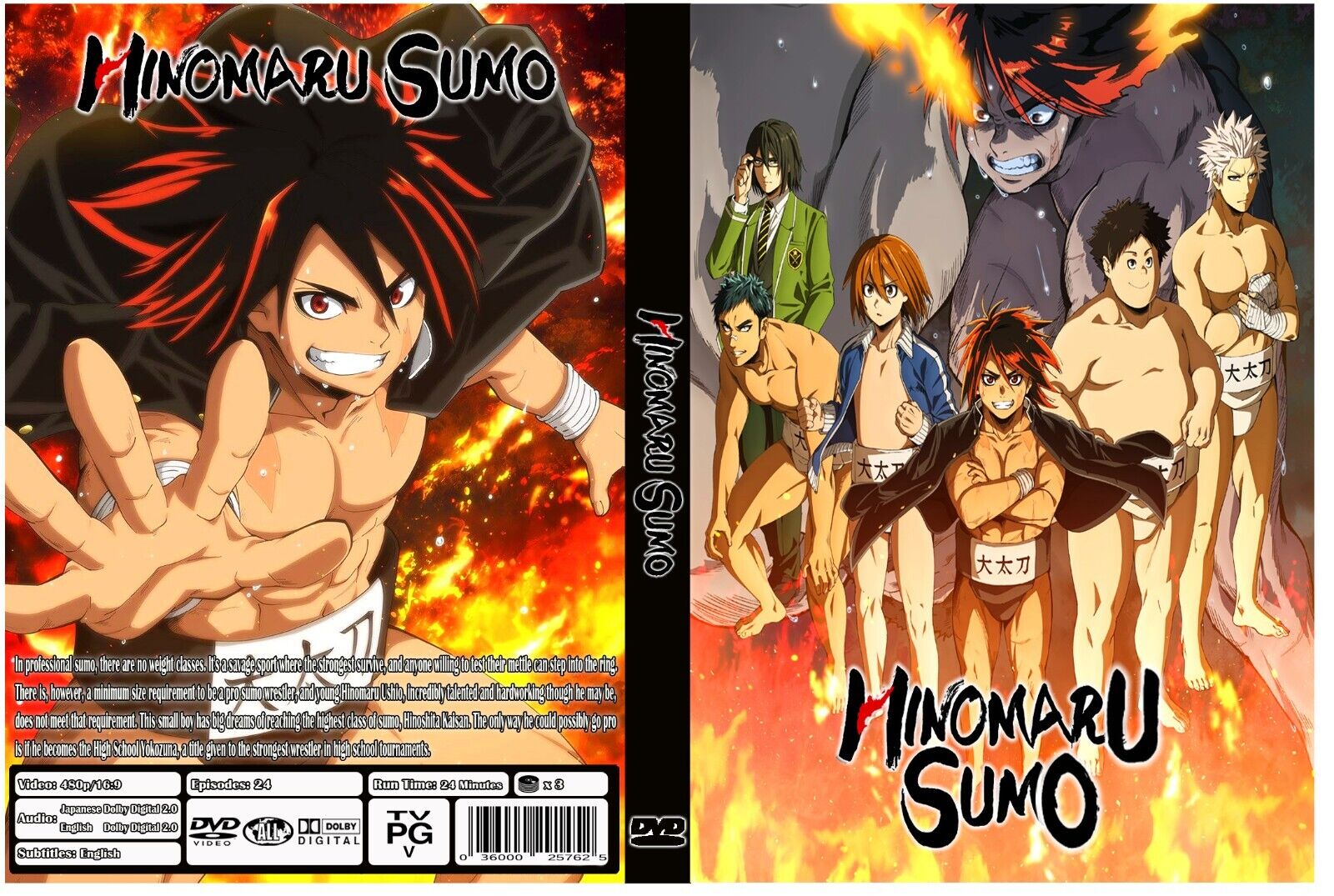 Hinomaru Sumo Anime Series Dual Audio English/Japanese