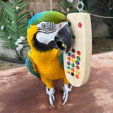 Remote Control Chewable Parrot African Grey Conure Eclectus Macaw Pet Bird Toy