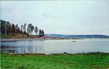 SPRINGERVILLE, Arizona AZ   BIG LAKE  Marina & Boat View  APACHE COUNTY Postcard