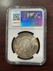 1896-P MORGAN SILVER DOLLAR $1 -- NGC MS64 CERTIFIED TONING