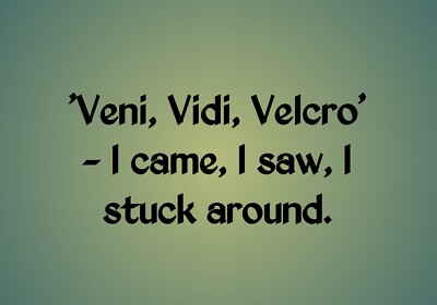 FUNNY QUOTE *2X3 FRIDGE MAGNET* VENI VIDI I CAME SAW STUCK AROUND HUMOR STICKY