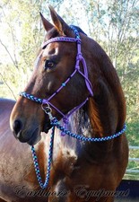 Earthhorse Equipment, V Brow Bitless bridle  Purple and 