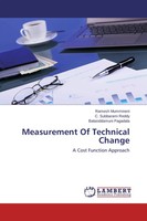 Ramesh Mummineni (U. A.) | Measurement Of Technical Change | Taschenbuch (2013)