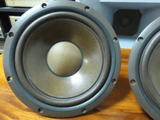 Coppia Woofer 12 Pollici DIATONE DS-800Z Funzionanti Condizioni JP