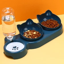 Double Bowl Pet Feeder With Automatic Water Bottle Elevated Cervical Protection