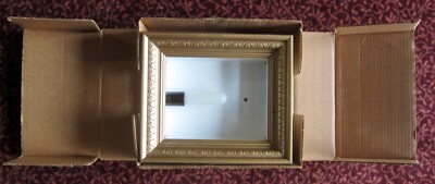 8x10 inch Framed Light Box Paul Hesse Harvey Prever Back-Lit  3D Lenticulars New