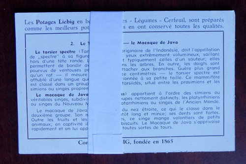 Chromos Liebig S1604 les singes - Photo 2/2