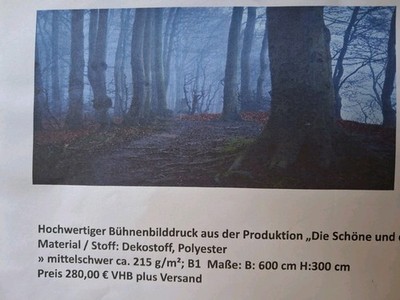 Bühnenbild Druck 'Wald' (Vorhang mit Ösen) 600 x 300 cm