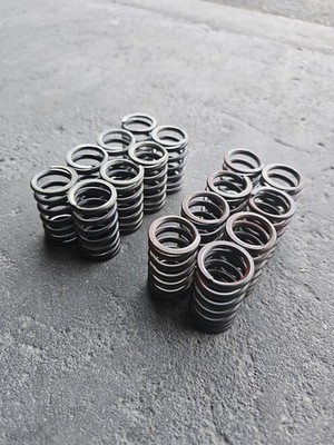 Acura RSX TypeS K20z1 Intake & Exhaust Valve Springs