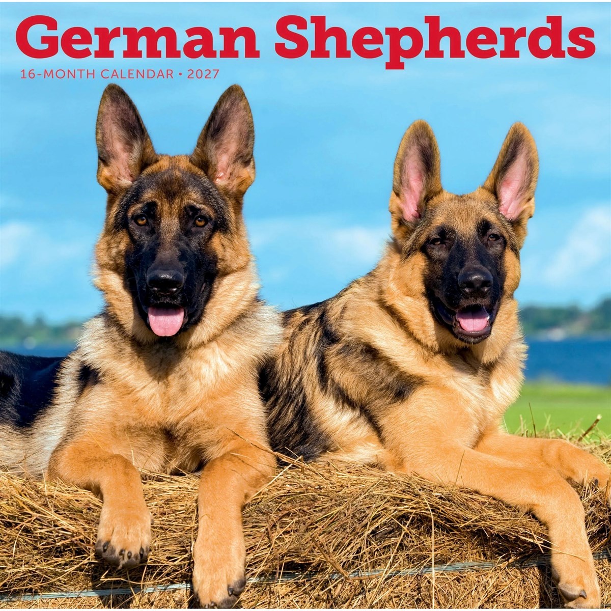 German Shepherds Calendar 2027, Wall Calendars, Month To View, Dogs, Gift
