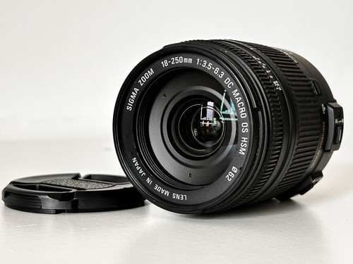 Nikon AF-S DX NIKKOR 18-135mm f/3.5-5.6G ED Lens + Caps + Hood - Picture 7 of 16