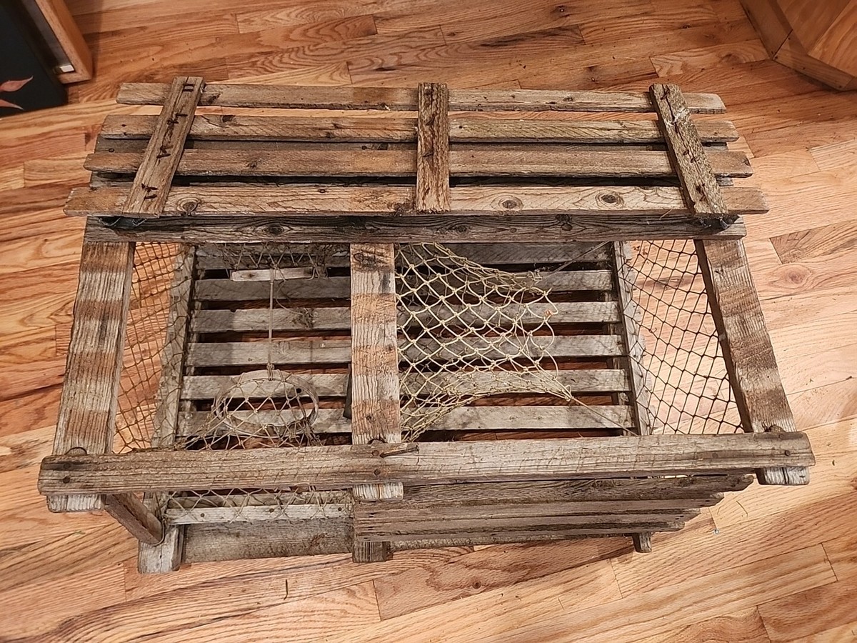 parzialmente bungee jump colore maine lobster trap occupato A strisce