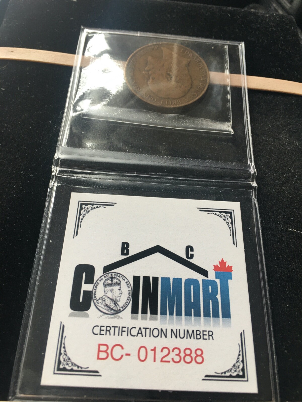 Picture 5 of 5