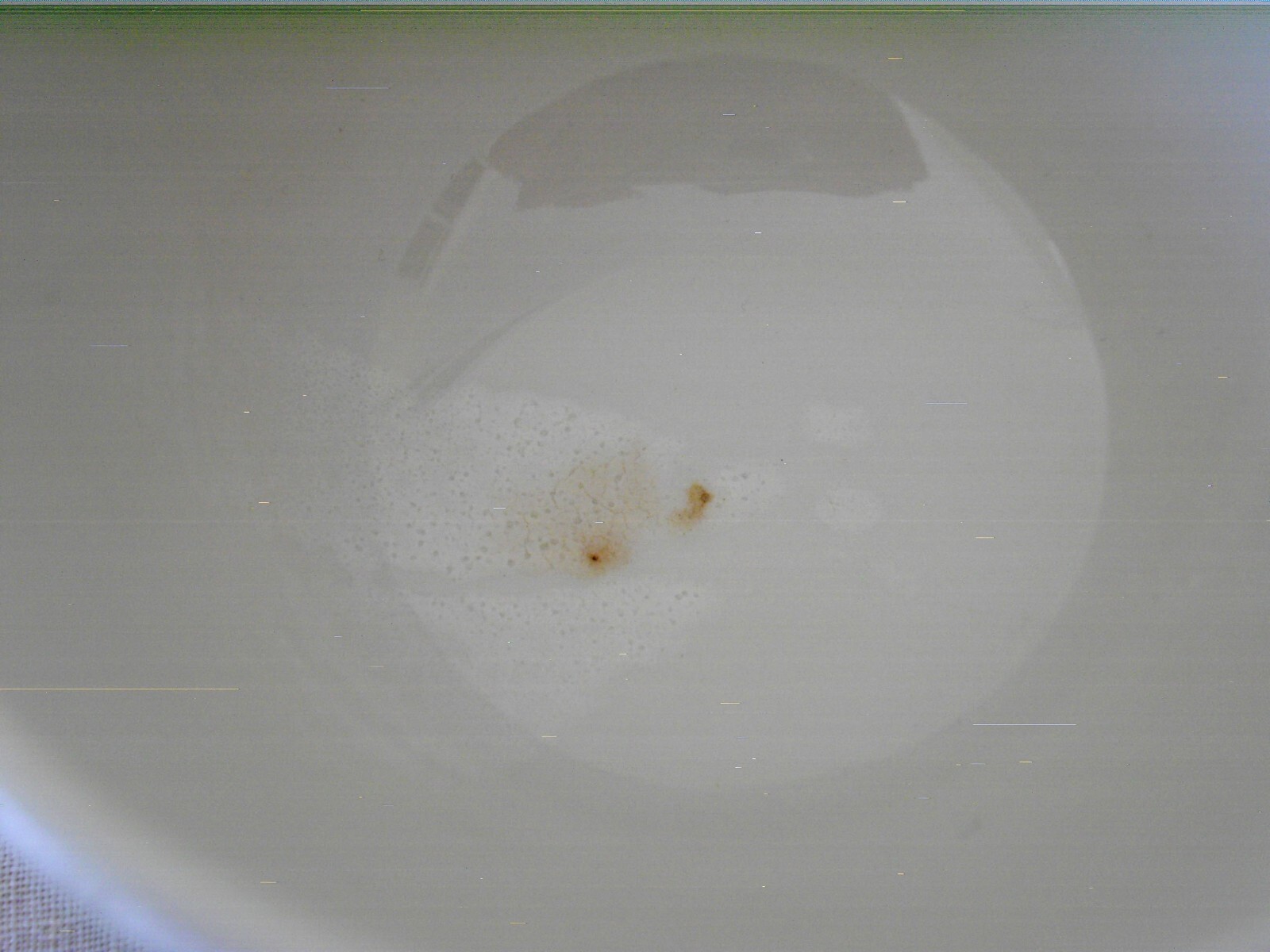Picture 4 of 6