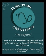 Capricorn The Fighters Ambitious  Zodiac Sign Celestial -MAGNET