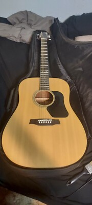 Walden D350 Standard Series Dreadnought Acoustic Guitar with case.