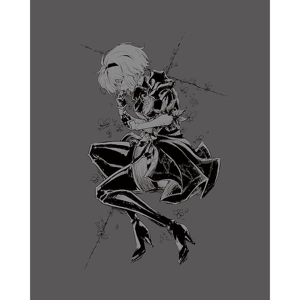 NieR:Automata Ver1.1a Blu-ray Disc BOX Vol.1 Limited Edition CD Japan ANZX-1 FS