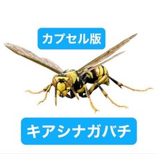 Bandai Gashapon Action Figure ADVANCE Paper W...