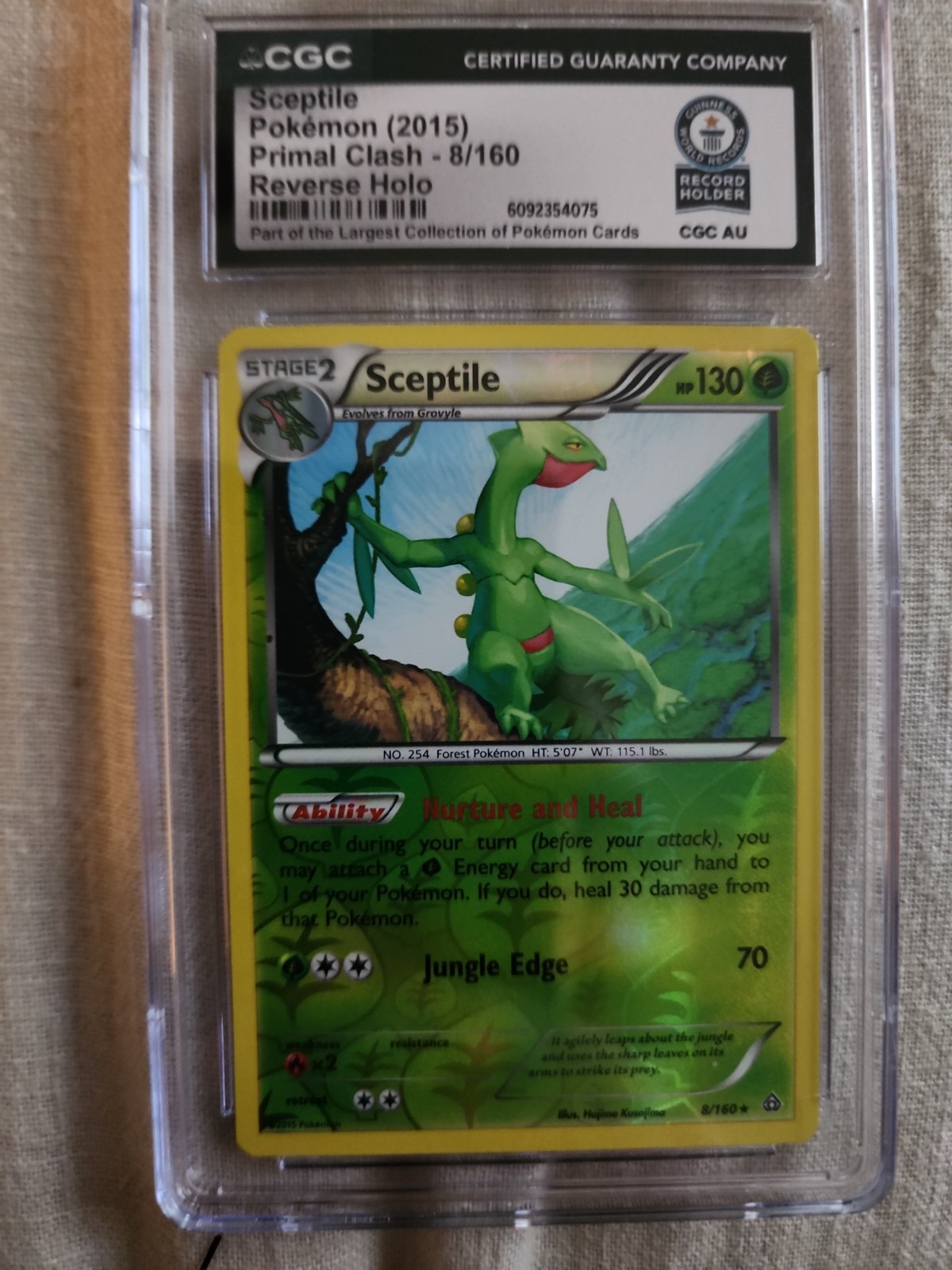 Pokemon Sceptile Reverse Holo Primal Clash #8 2015 TCG Guiness World Record