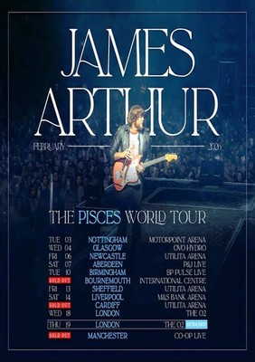 James Arthur UK Tour 2026 Print Poster Unframed
