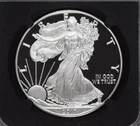 2019 WALKING LIBERTY AMERICAN EAGLE .999 FINE SILVER DOLLAR COIN 1oz. $1 USA
