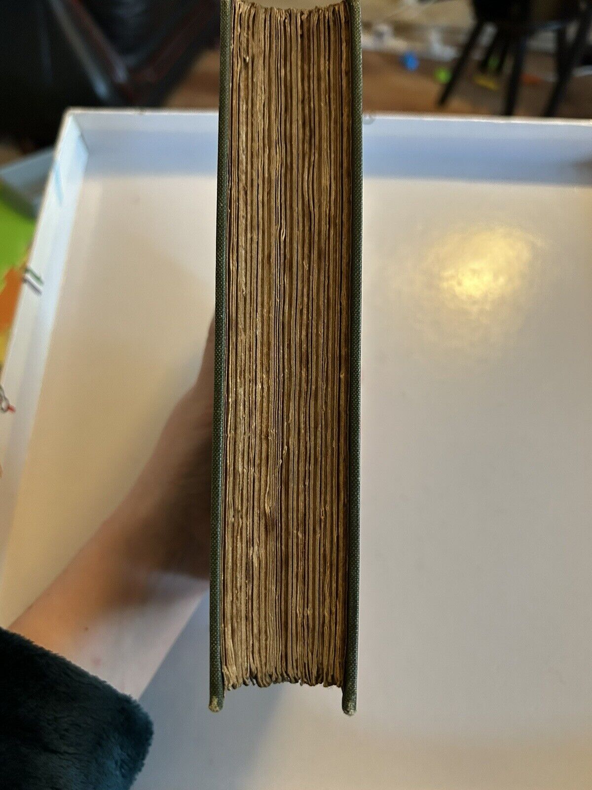 Picture 6 of 13