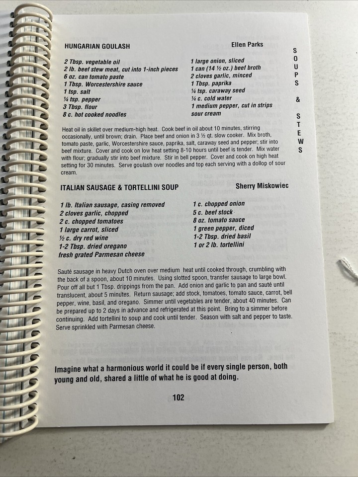 Spring Valley IL Illinois Ethnic cookbook VTG Catholic Hospital Czech