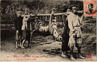PC VIETNAM ANNAM THAN-HOA CHEU LES CHAN-THAY TIGRE TUÉ TIGERJAGD (a64687)
