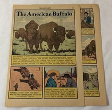 1960 four page cartoon story ~ THE AMERICAN BUFFALO