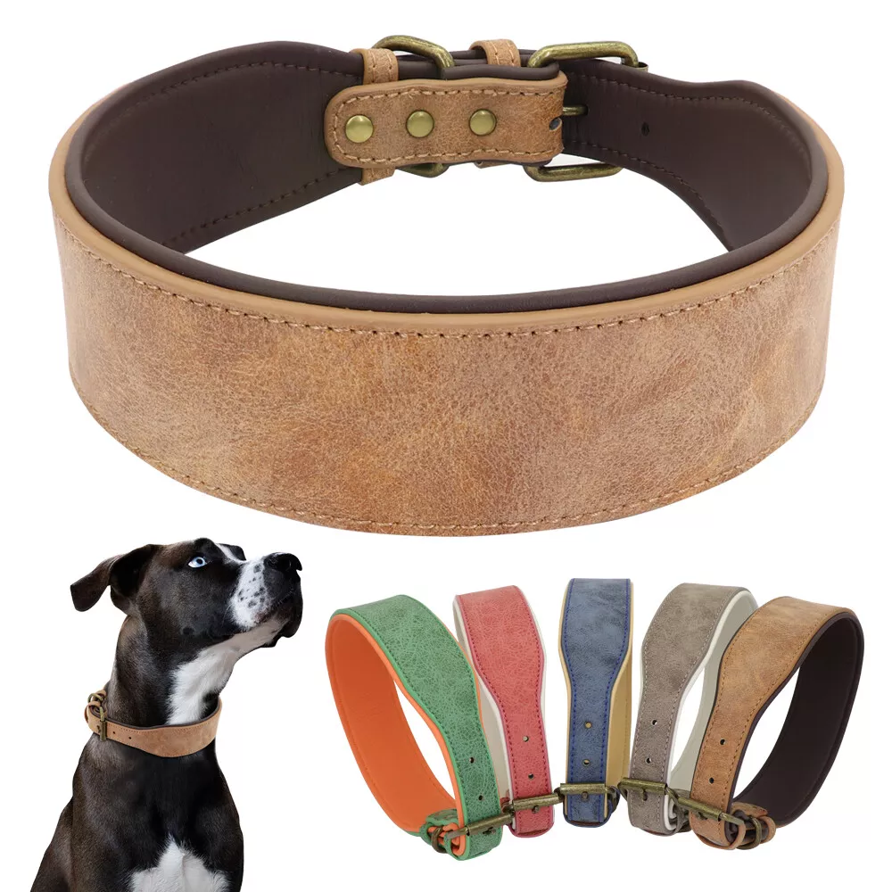 Orange Dog Collar with Light Brown Leather + Multicolor Tan Stitching