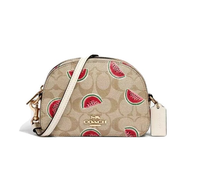 ðð Coach Mini Serena Crossbody in Signature Canvas with Watermelon Print NWT | eBay