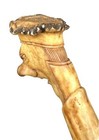 Picture 5 of 11