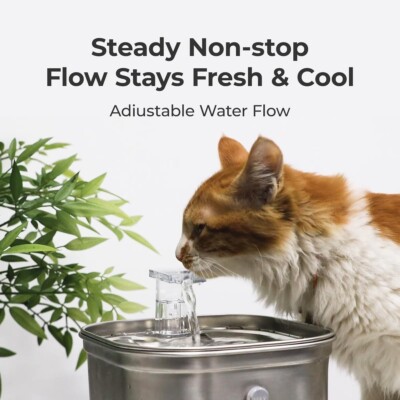 Wonder Creature Stainless Steel Cat Water Fountain - 74oz Automatic Pet Drinking Fountain With Filter