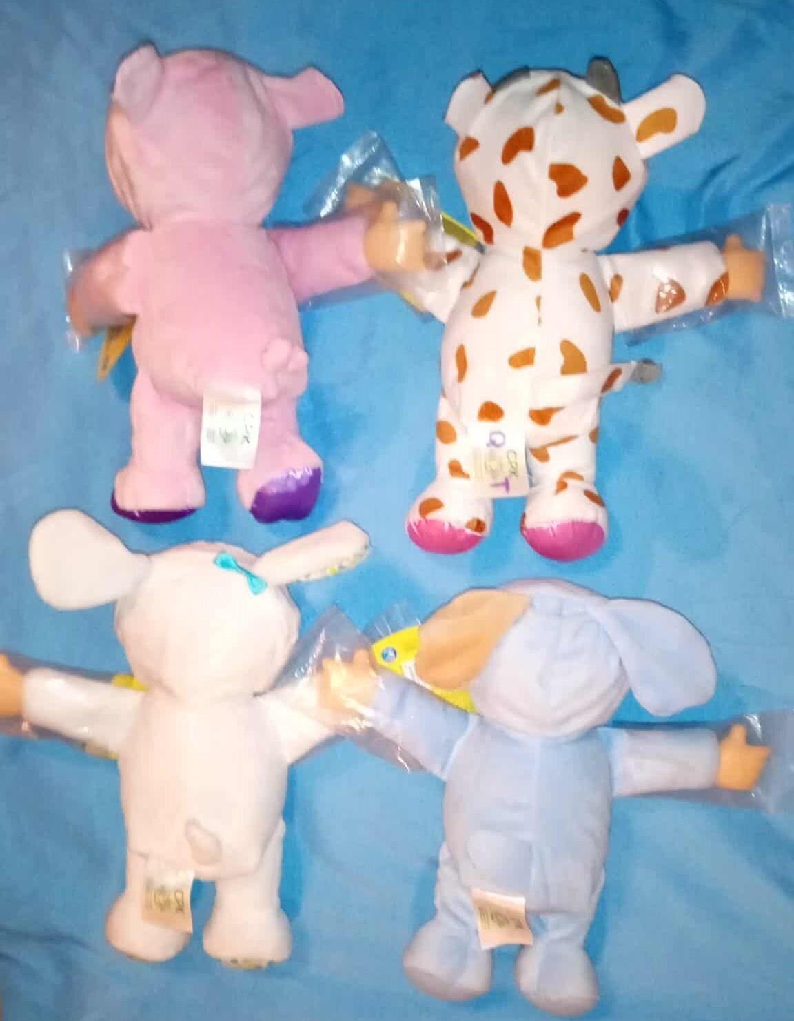 Picture 4 of 5