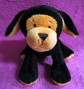 webkinz pumpkin puppy