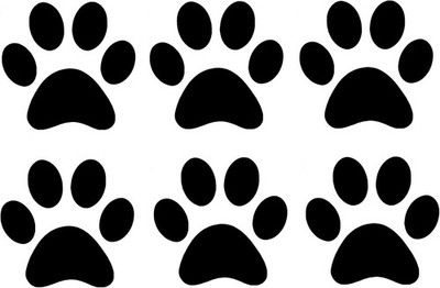 6 Hund/Katze Pfotenabdruck Vinyl Aufkleber Pack-wasserdichte Aufkleber-einfach anzubringen