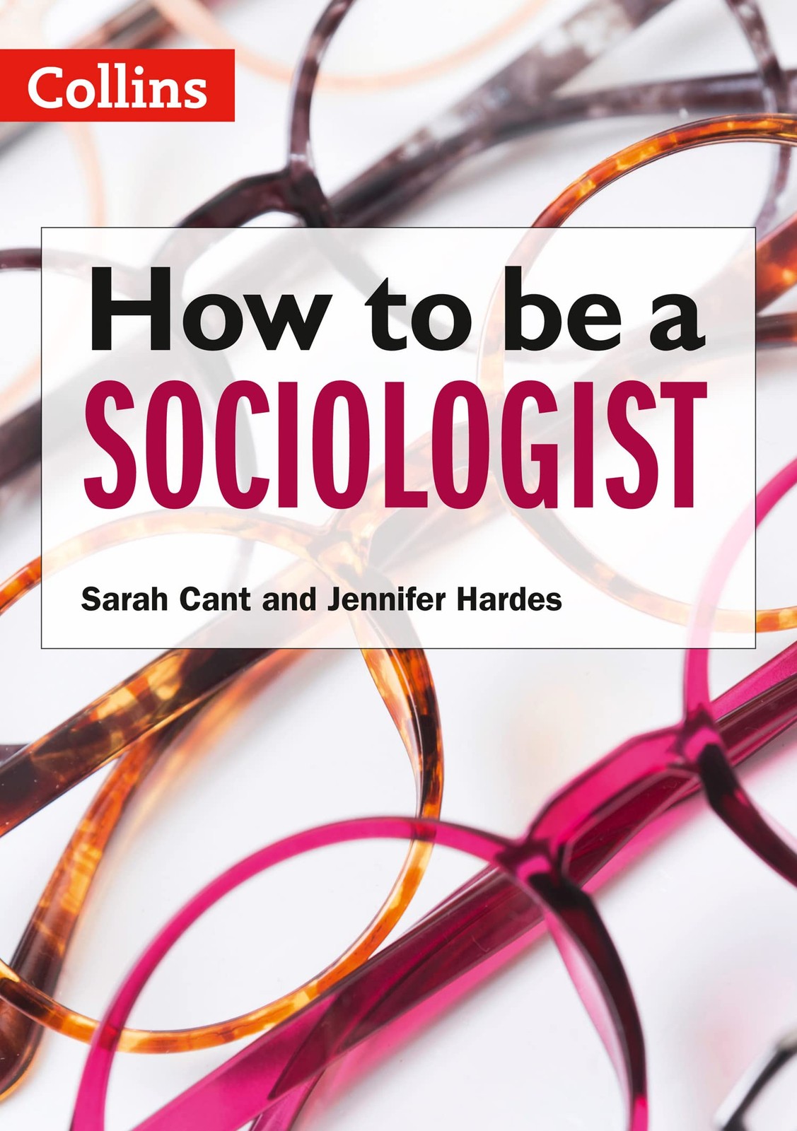 How to be a Sociologist: An Introduction to A Level Sociology by Jennifer Hardes - Image 4