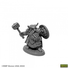 Reaper Bones USA Dungeon Dwellers 07011 BORIN IRONBROW, DWARF FIGHTER