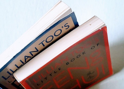 2 Feng Shui Books BY Lillian Too Luck New Moon Chi Flow New Year Asian Tradition - Picture 5 of 7