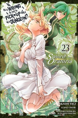 IS IT WRONG TO TRY TO PICK UP GIRLS V23 by Fujino Omori Paperback Self Help