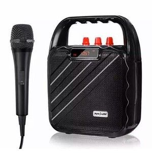microphone and speaker system portable