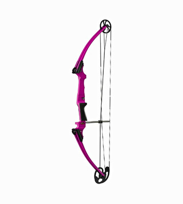 Mathews Genesis Bow With Arrows (not in pic)